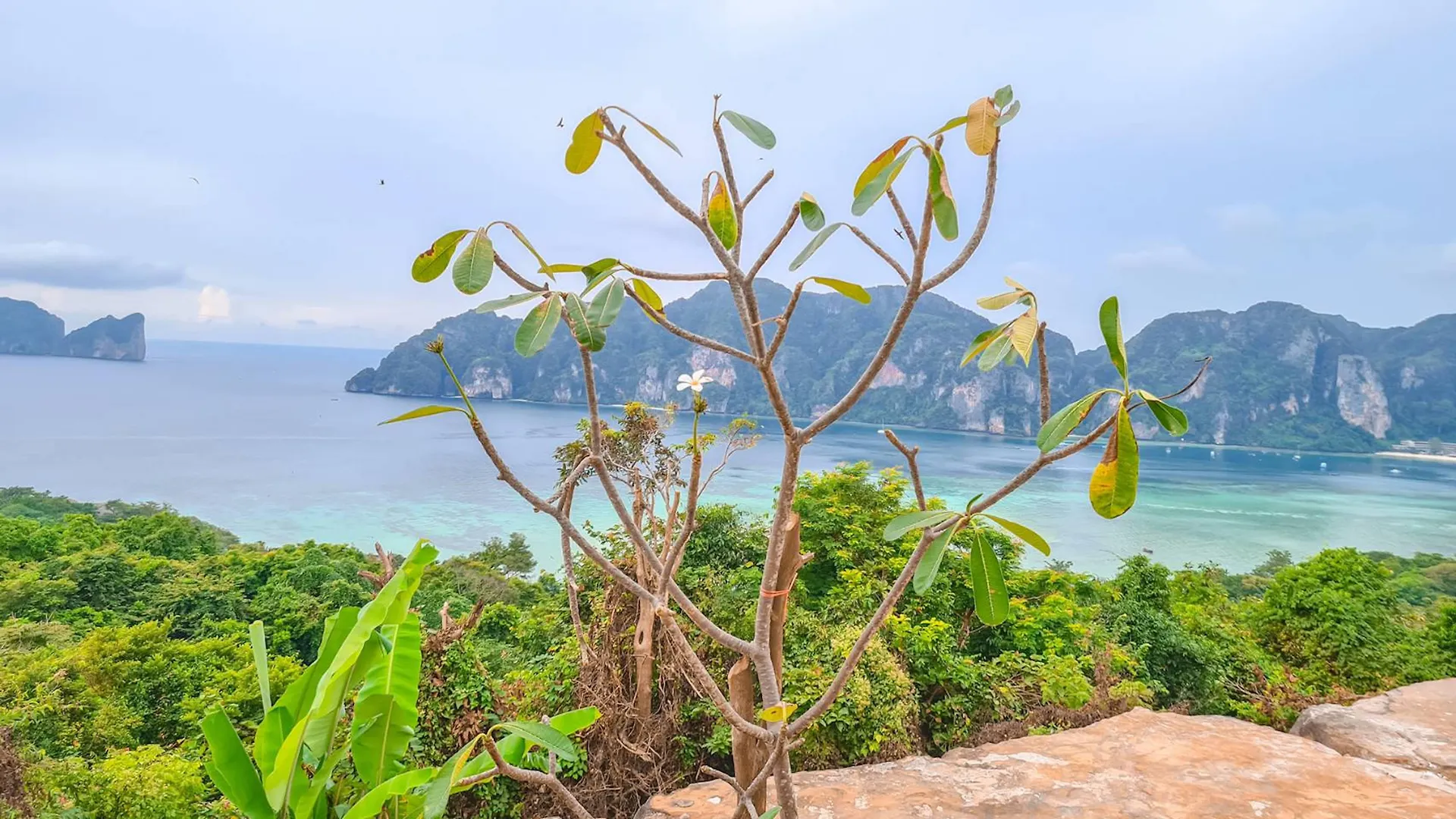 Hotel Phi Phi Mountain Beach Resort Sha Certified